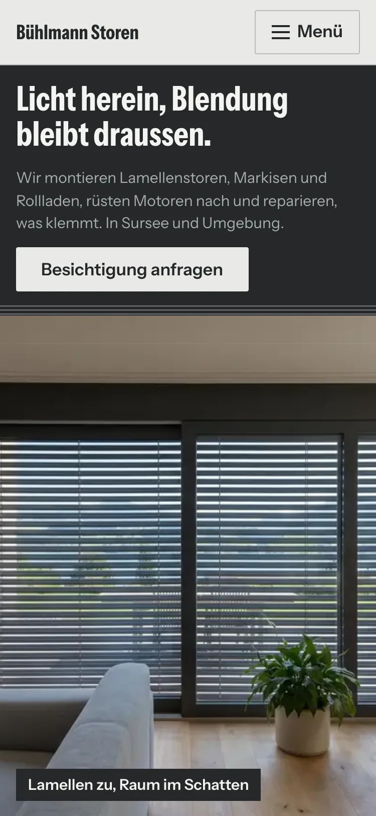 Startseite der Demo Bühlmann Storen auf dem Computer und auf dem Handy